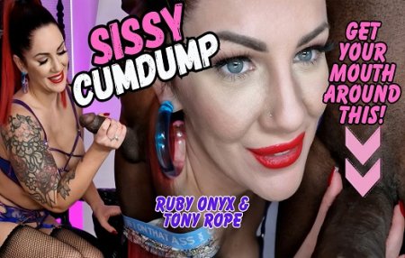 Lady Onyx :  Sissy Cum Dump