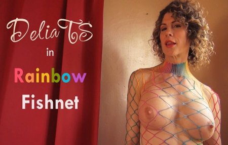 Delia Delions :  Rainbow Fishnet