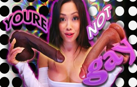 ThePrincessLuxy :  Youre Not Gay