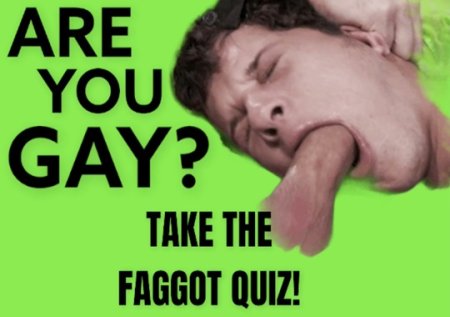 Goddess of Destruction :  Are You Gay? Quiz