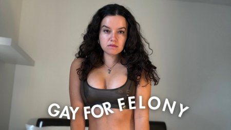 Serve Felony : Gay For Felony